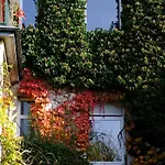 Guest house Au 31