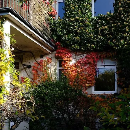 Guest house Au 31 *