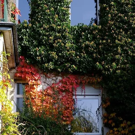Guest house Au 31